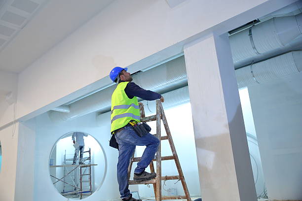 Best Drywall Removal and Disposal  in Royalton, IL